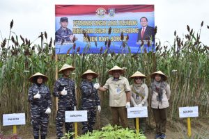 Komandan Pangkalan TNI AL Palembang Pimpin Panen Raya Sorgum Dalam Rangka Ketahanan Pangan Bekerjasama Dengan PT. Pusri Palembang