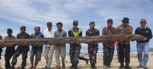 Komandan Lanal Simeulue Bersama Personel TNI-Polri dan Relawan Konservasi Penyu Beserta Komponen Masyarakat Laksanakan Bersih Pantai Along