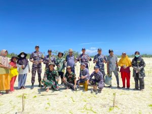 TNI AL Simeulue Hijaukan Pantai Desa Labuhan Bakti Dengan Mangrove