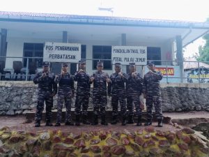 TNI AL Lanal TBA Lepaskan Tukik di Perairan Pulau Jemur