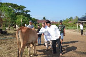 Saling Berbagi, Lanal Dumai Serahkan Hewan Qurban Di Hari Raya Idul Adha 1444 H/2023 M 