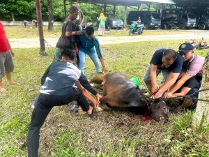 Berbagi Kebahagiaan Di Hari Raya Idul Adha 1444 H, Lanal Simeulue Laksanakan Qurban dan Berbagi Kepada Masyarakat