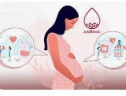 Masa Depan Bergizi: Peran Penting Penanganan Anemia Pada Kehamilan Untuk Mencegah Stunting