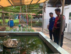 Dukung Program Ketahanan Pangan, Kapolsubsektior Pademangan Barat Kunjungi Lahan Hidroponik dan Kolam Ikan