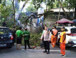 Kapolsubsektor Latuharhari Bersama Petugas Pertamanan Membantau Penanganan Pohon Tumbang Di Taman Sunda Kelapa
