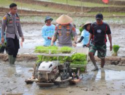 Kapolda Lampung Hadiri Gerak Tanam Raya Padi Serentak, Dukung Ketahanan Pangan Nasional