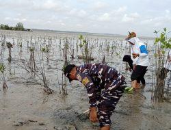 Lanal Bintan Bersama SMA Tunas Bangsa Lagoi Peduli Lingkungan Dengan Menanam 10.000 Pohon Mangrove