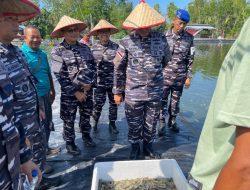 Wujud Dukung Program Ketahanan Pangan Nasional, Lanal Dabo Singkep Panen Udang Vaname