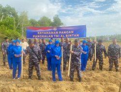 Lanal Bintan Perkuat Ketahanan Pangan Lewat Penanaman Jagung Sebagai Wujud Nyata Program Asta Cita