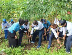 Program Ketahanan Pangan TNI Angkatan Laut, Danlanal Bandung Laksanakan Panen Jagung dan Panen Raya Ketahanan Pangan Lanal Bandung