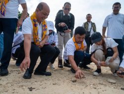 Pelepasliaran Tukik Penyu Sisik di Pulau Bidadari: “Seribu Tukik Sejuta Harapan