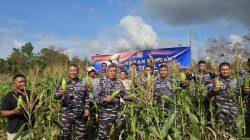 Panen Jagung Lanal Bintan Dalam Mendukung Ketahanan Pangan