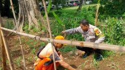 Pemantauan Tanaman Jagung dan Pembersihan Rumput Liar Digelar di RPTRA Borobudur